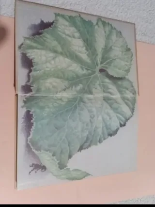 Cuentos populares Rusos III