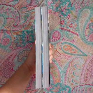 El perro y el saco de arena