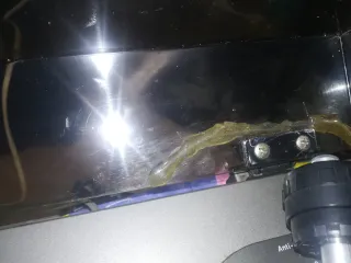 Tocadisco GARRARD DD 131