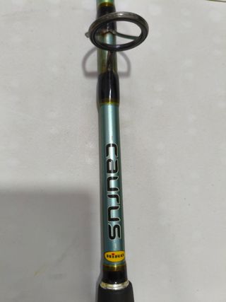 Caña de pescar Hiro Caurus + kalikunnan harpoon