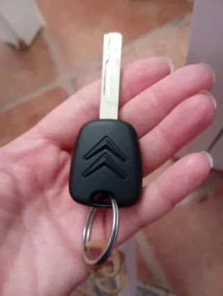 Citroen C4 Picasso 2009