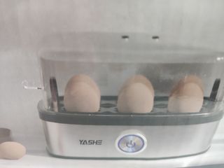 YASHE Cocedor de Huevos, 400 W Cocedor 6 huevos.