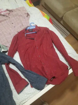 Lote camisas