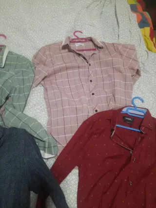 Lote camisas
