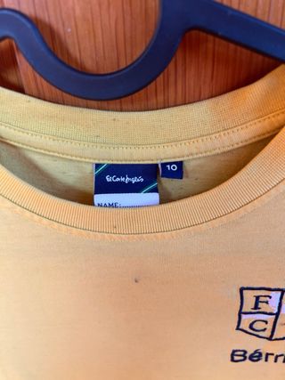 camiseta de 10 años colegio Berriz.