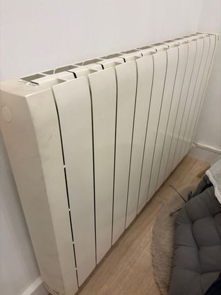 Radiador eléctrico regulable Ducasa 12 elementos