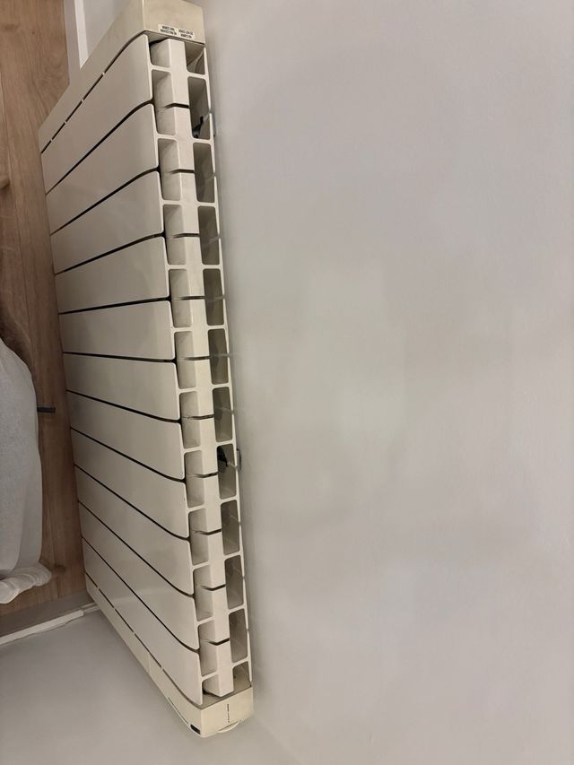 Radiador eléctrico regulable Ducasa 12 elementos