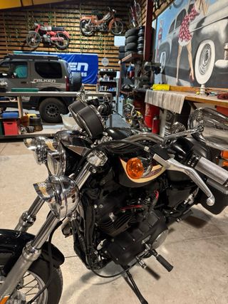 Harley Davidson Sportster 1200 R 2007