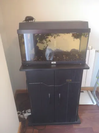 Acuario 60L con mueble y accesorios