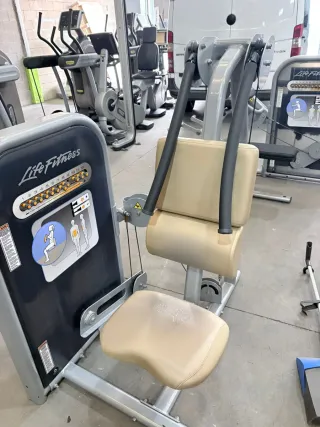 Máquina de abdominales Life Fitness