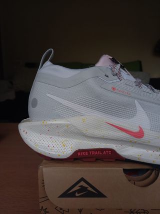 Zapatillas Nike Pegasus Trail 5 GORE-TEX