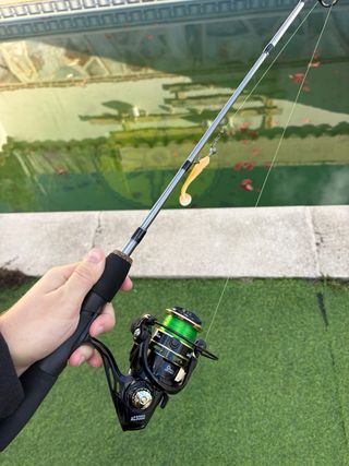 Pack Caña y Carrete Spinning
