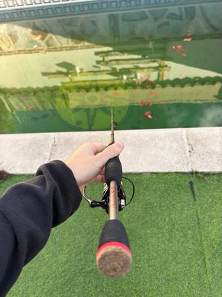 Pack Caña y Carrete Spinning