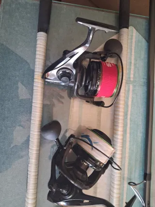 2 cañas y 2 carretes de pesca