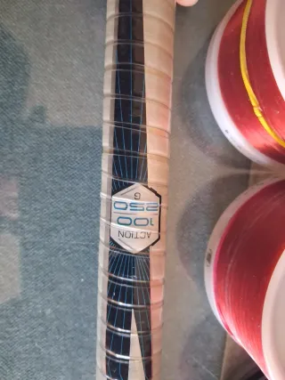 2 cañas y 2 carretes de pesca