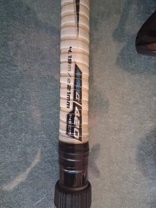 2 cañas y 2 carretes de pesca