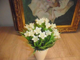 Cámara Digital Ricoh Caplio R6 7.2 MP