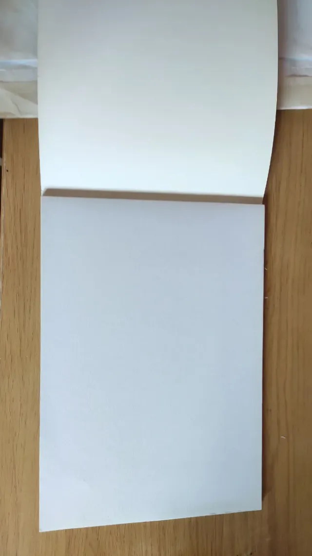 Bloc de Dibujo , bellas artes