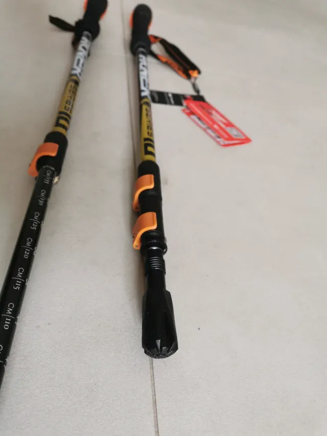 Bacchette trekking Pioneer