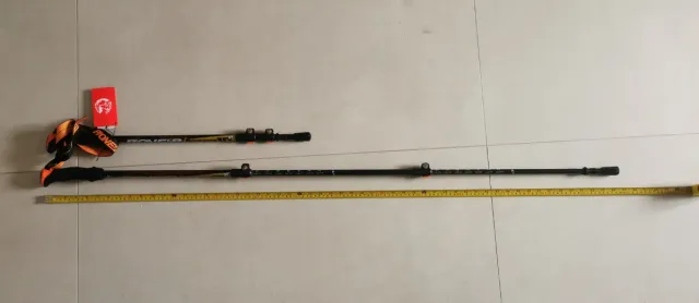 Bacchette trekking Pioneer