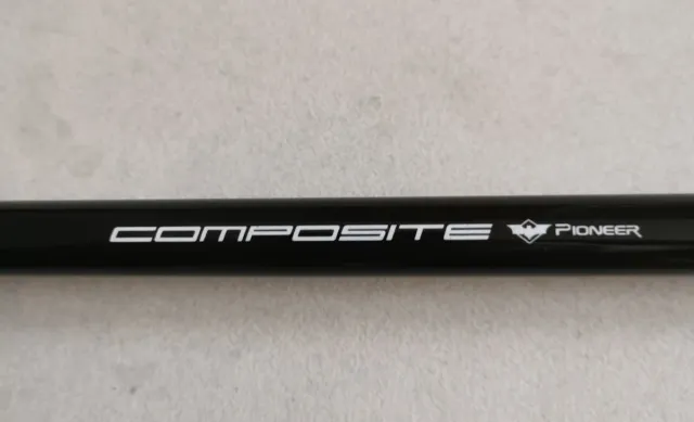 Bacchette trekking Pioneer