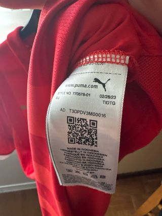 Camiseta PSV Eindhoven 2023/2024