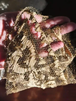 Encaje metálico dorado.