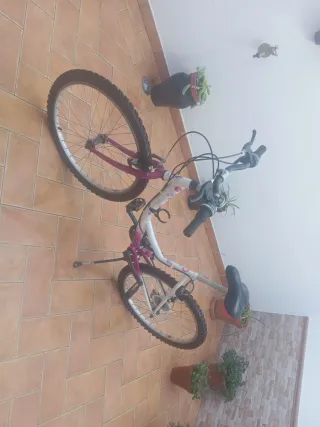 Bicicleta infantil