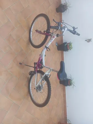 Bicicleta infantil