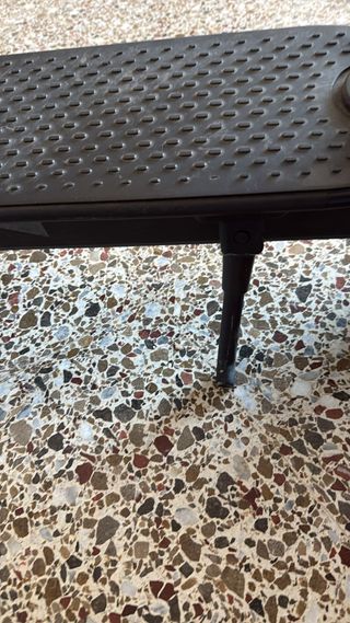 Patinete Eléctrico Xiaomi Pro 2