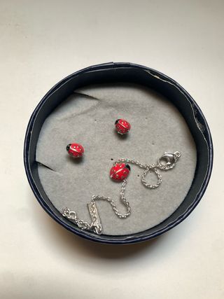 pendientes y pulsera mariquita de plata