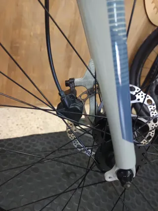 Fuji Absolute 1.7 Bicicleta Gris