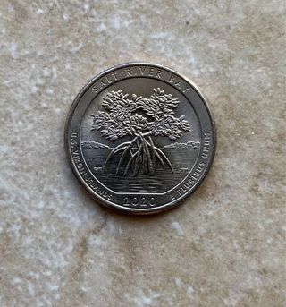 Moneta 2020 Isole Vergini Americane