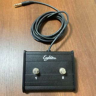 Pedal 2 Canales Amplificador