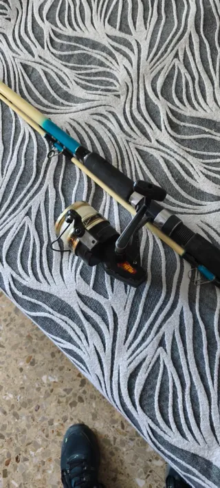 Carrete Daiwa GS100 + Caña 2 piezas