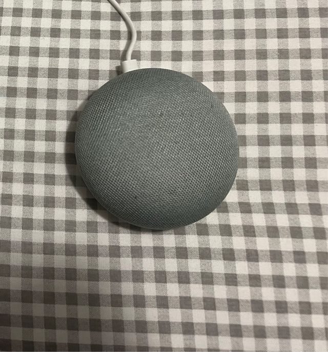 Google Home Mini Gris