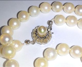 Collare in oro bianco 14k con perle Akoya