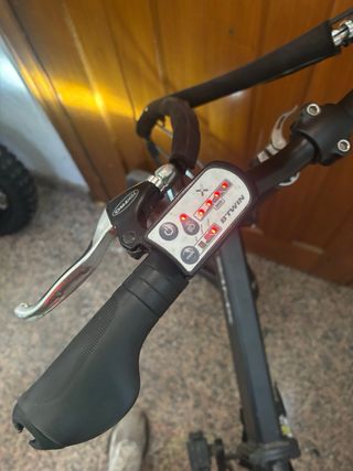 Bicicleta eléctrica lit 500