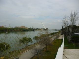 Olympus X-960 Cámara Digital 14MP