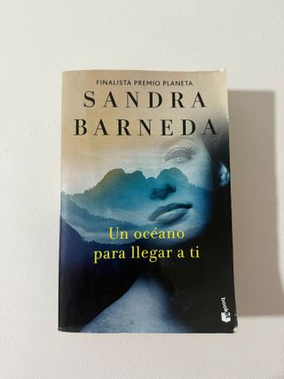 Un océano para llegar a ti: Finalista Premio Pl...