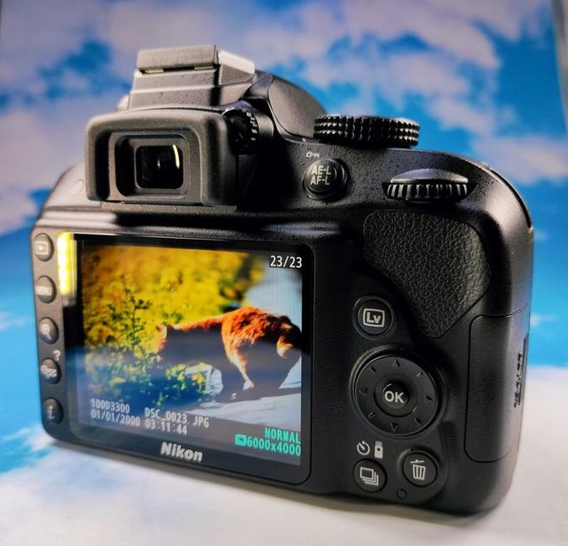 Nikon D3300 Reflex 01111