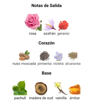 Club de Nuit Intense WOMAN - Armaf