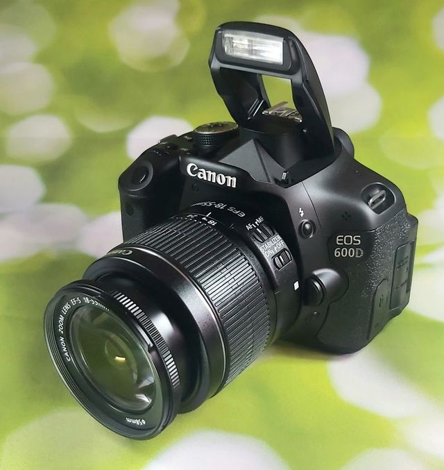 Canon Eos 600D Reflex 0111
