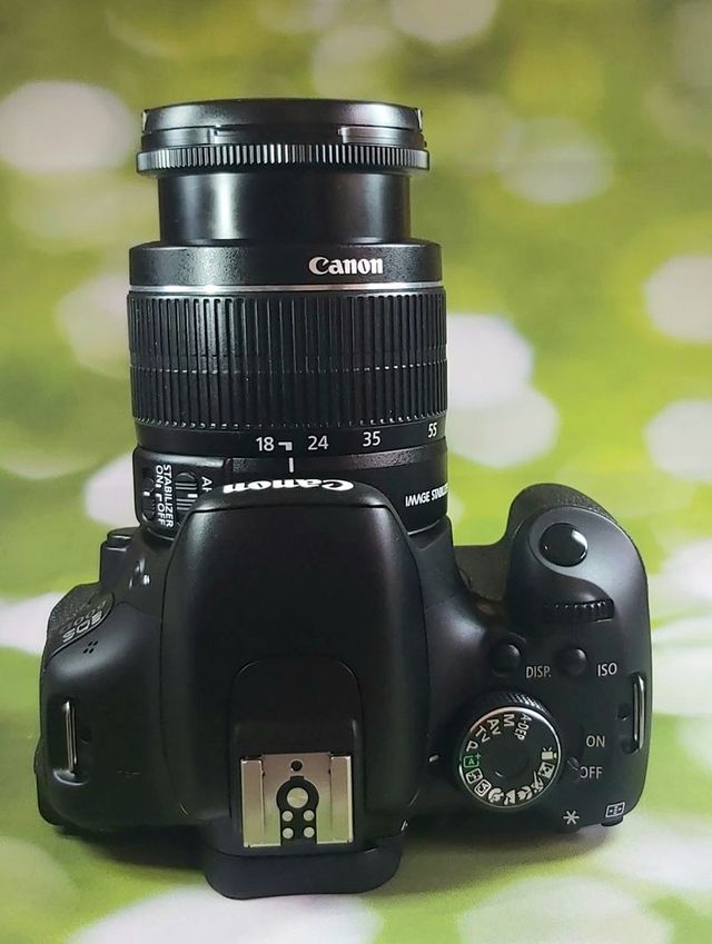Canon Eos 600D Reflex 0111