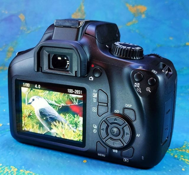 Canon Eos 4000D Reflex Wifi 0111