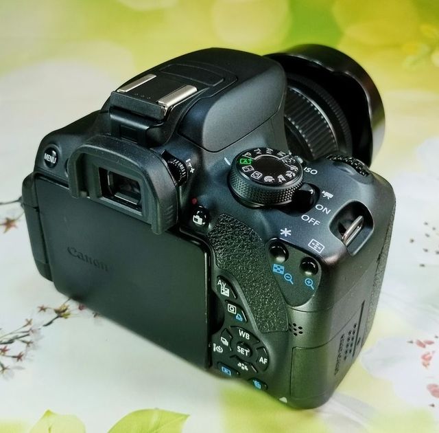 Canon Eos 700D Reflex 0111