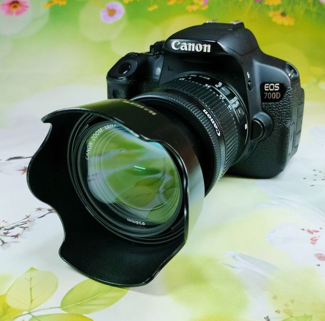 Canon Eos 700D Reflex 0111