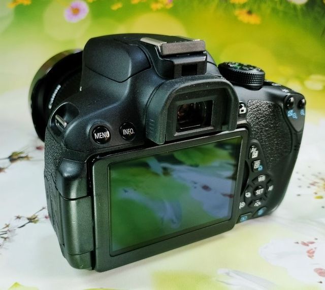 Canon Eos 700D Reflex 0111