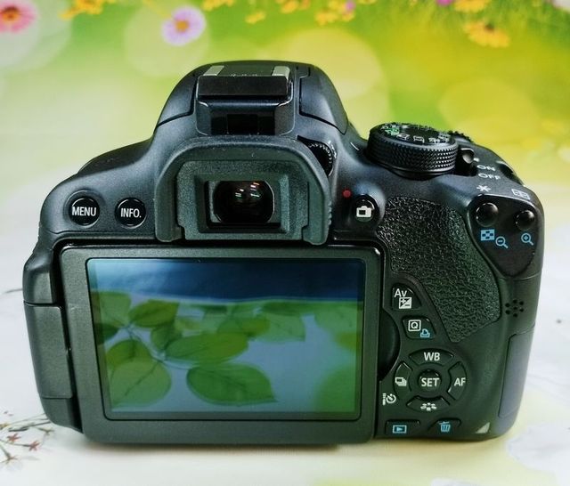 Canon Eos 700D Reflex 0111