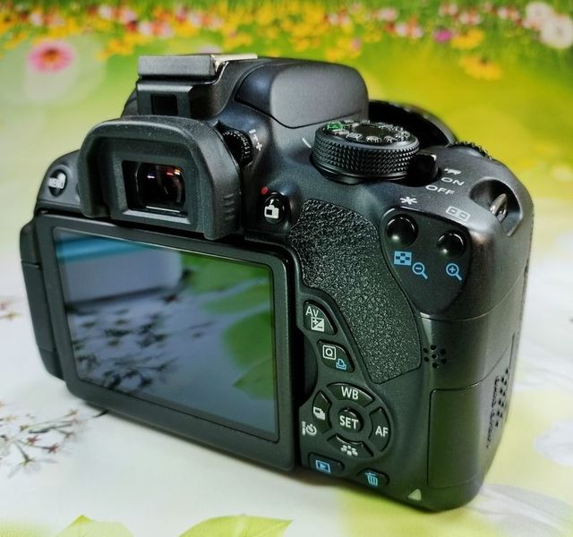 Canon Eos 700D Reflex 0111